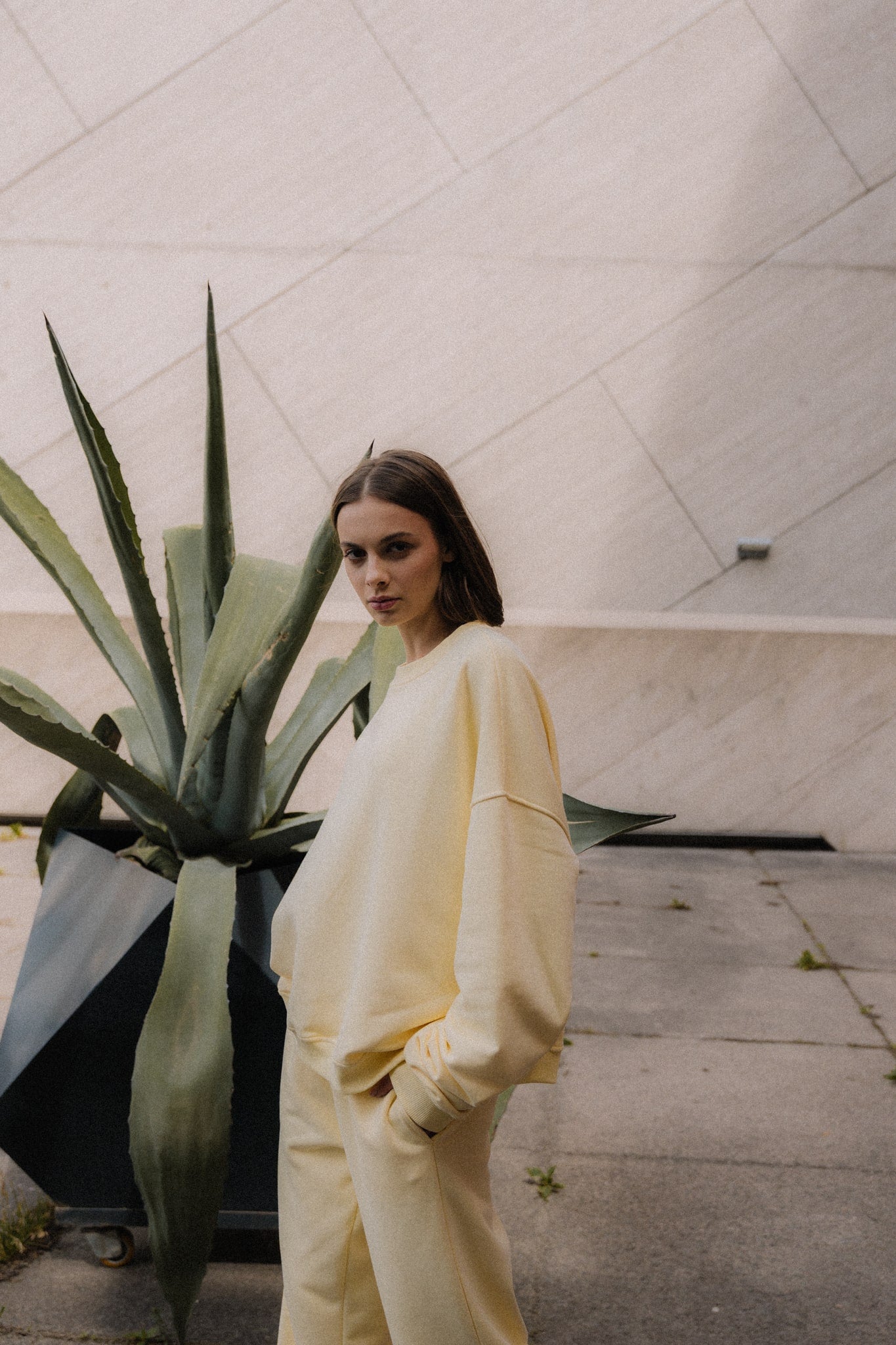 Bluza Rosie Limoncello | momonde.
