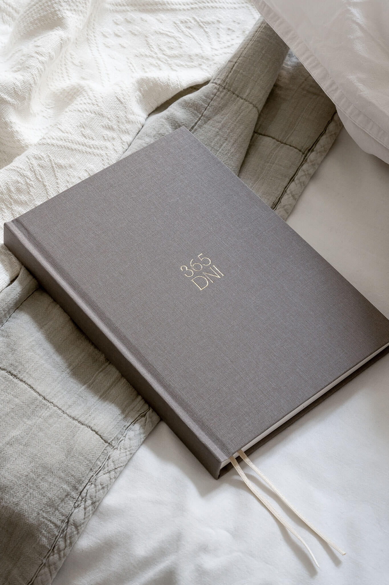 Planner PRO 2026 dzienny Shadow Grey | momonde.