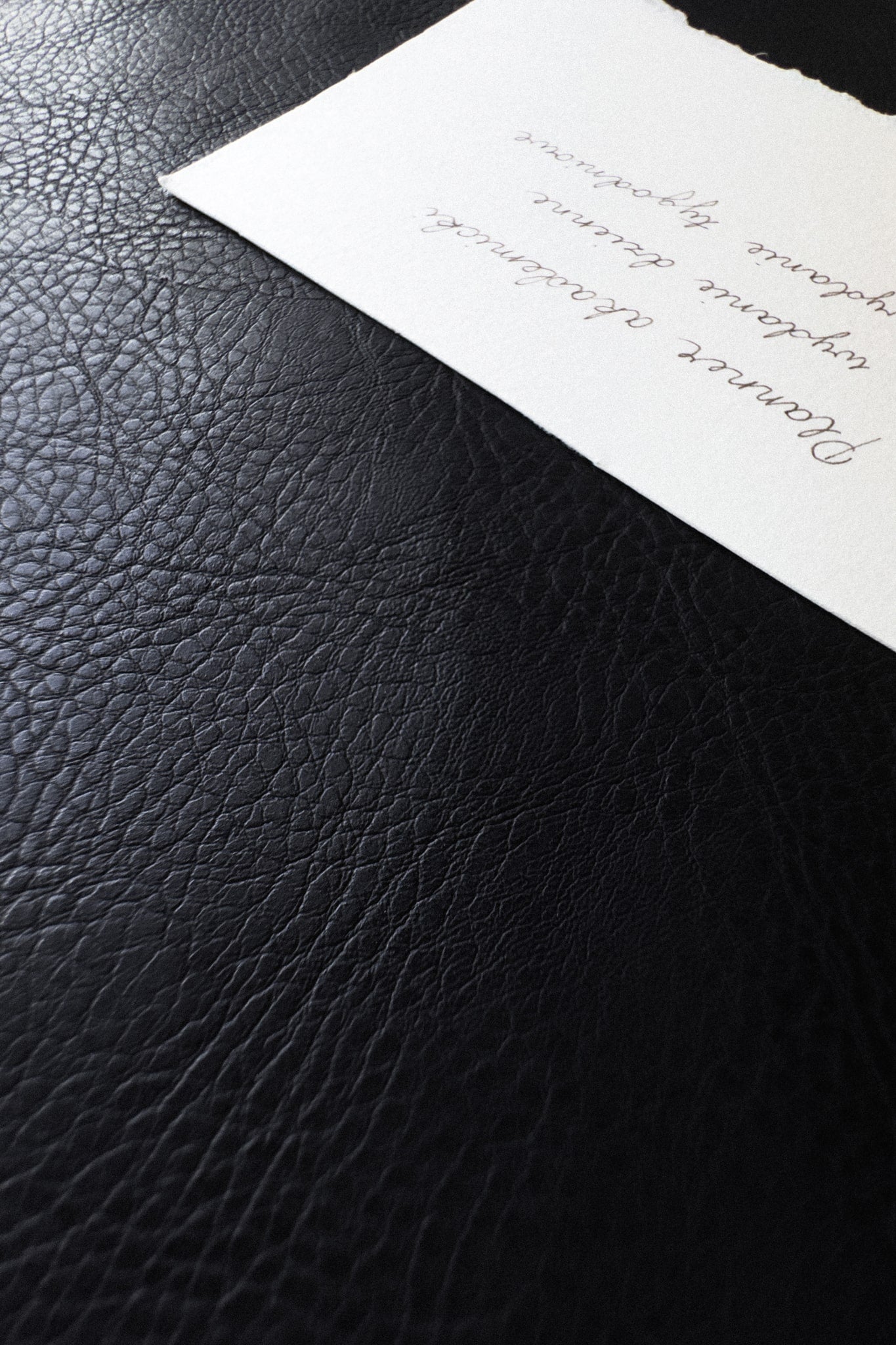 Planner 25/26 dzienny Amour Noir | Planner Akademicki | momonde.