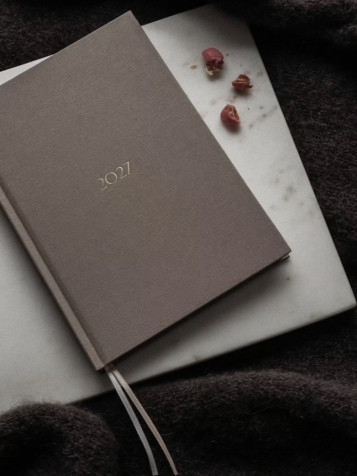 Planner PRO 2027 Weekly Perfectly Pale