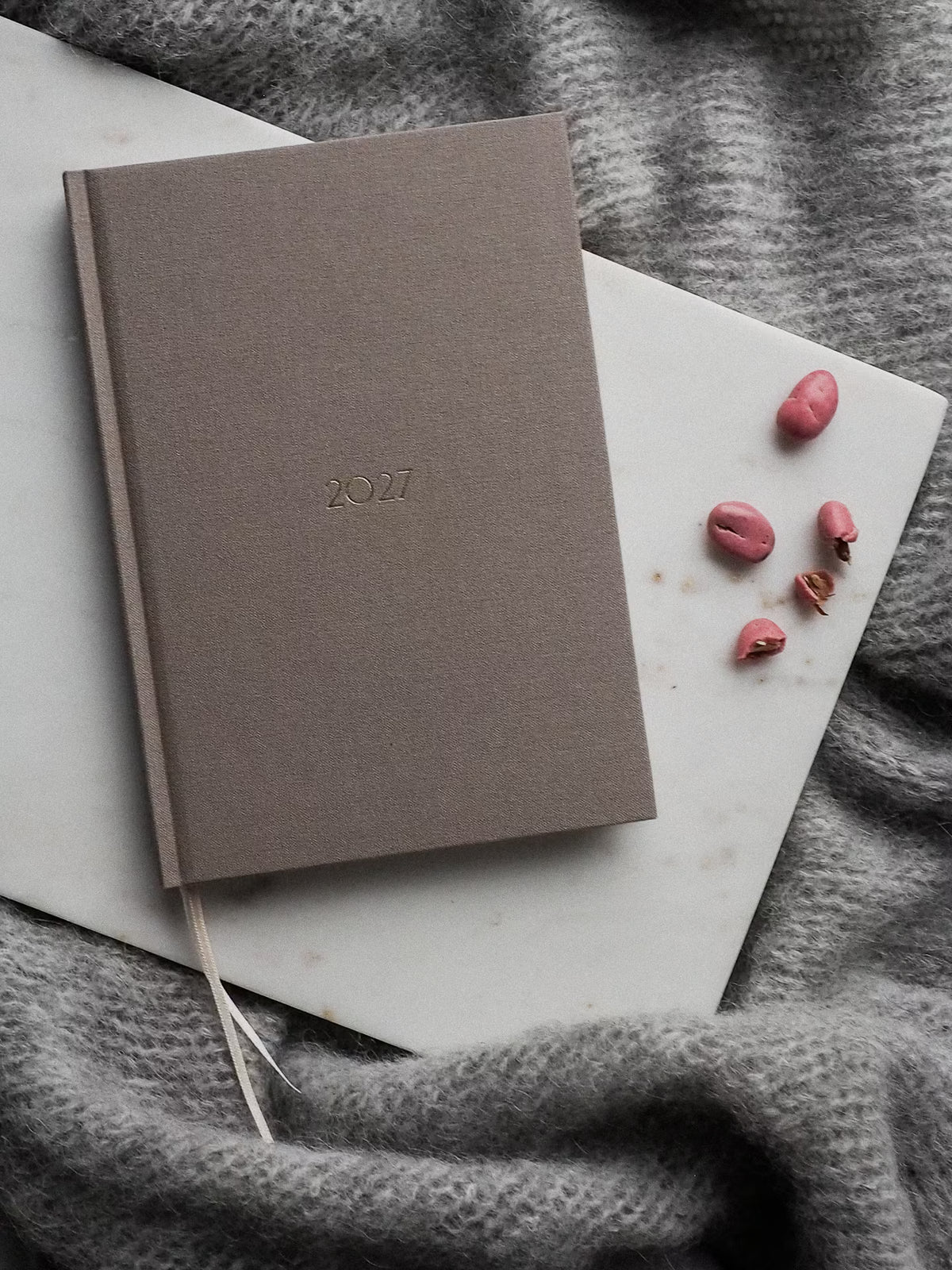 Planner PRO 2027 dzienny Perfectly Pale
