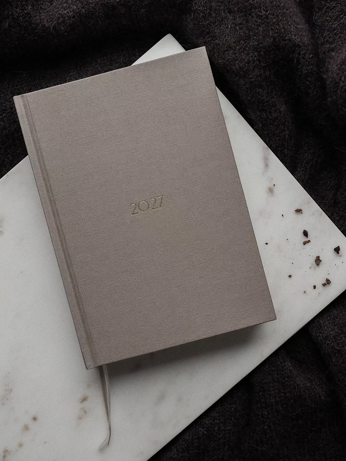 Planner PRO 2027 dzienny Perfectly Pale
